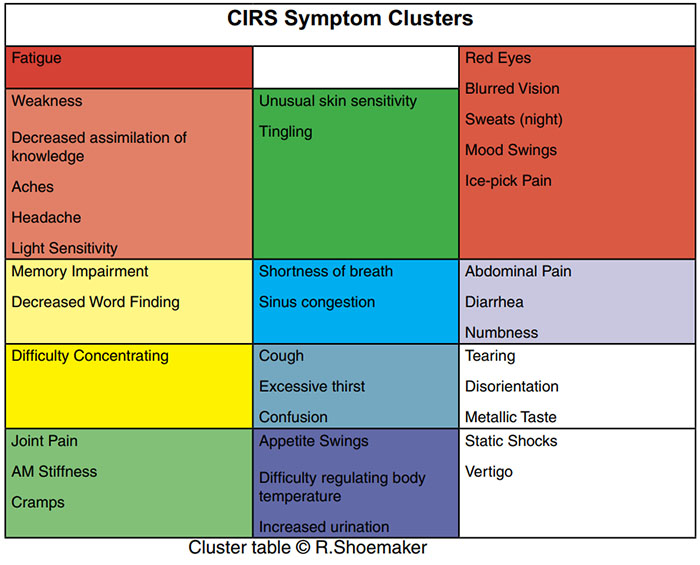 CIRS Symptom Clusters